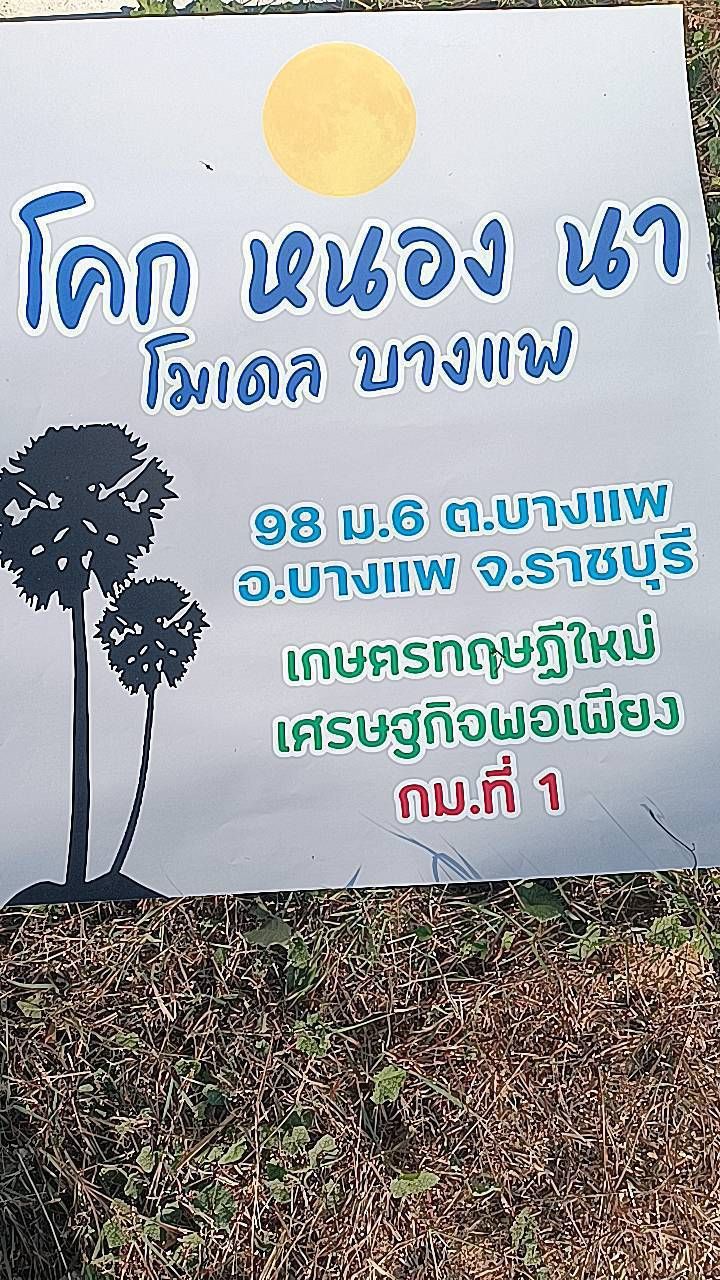 แปลงโคก หนอง นา พร้อมกับบ้านพักโฮมสเตย์ ในพื้นที่ตำบลบางแพ อำเภอบางแพ จังหวัดราชบุรี